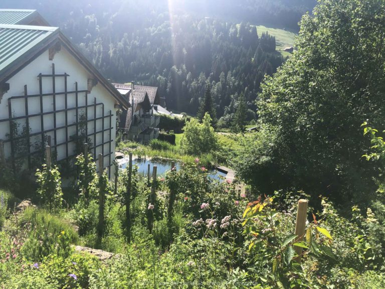 Blick auf den Weinberg