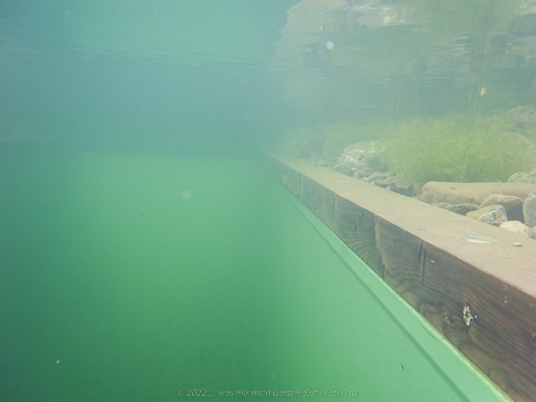 Teich aus der Unterwasserperspektive