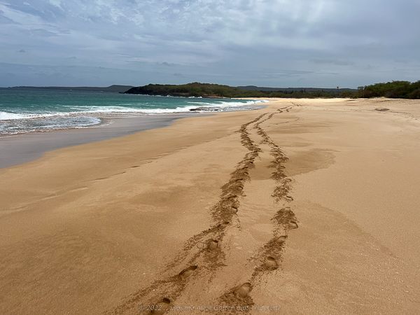 Leere Starnd mit Fussabdrücken im Sand auf Molokai