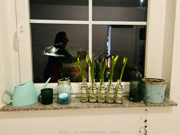 Blumenbank mit Tulpen in Vase am Abend des Tags 12 von 12 im Januar 2023