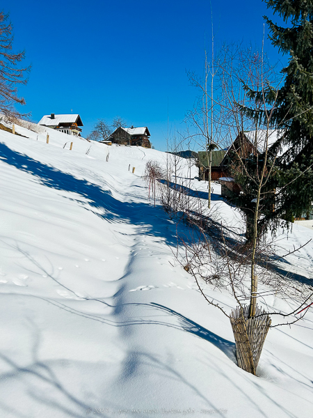 Gartenweg im Schnee