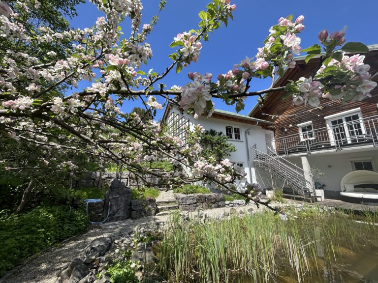 Gartenblick von unten