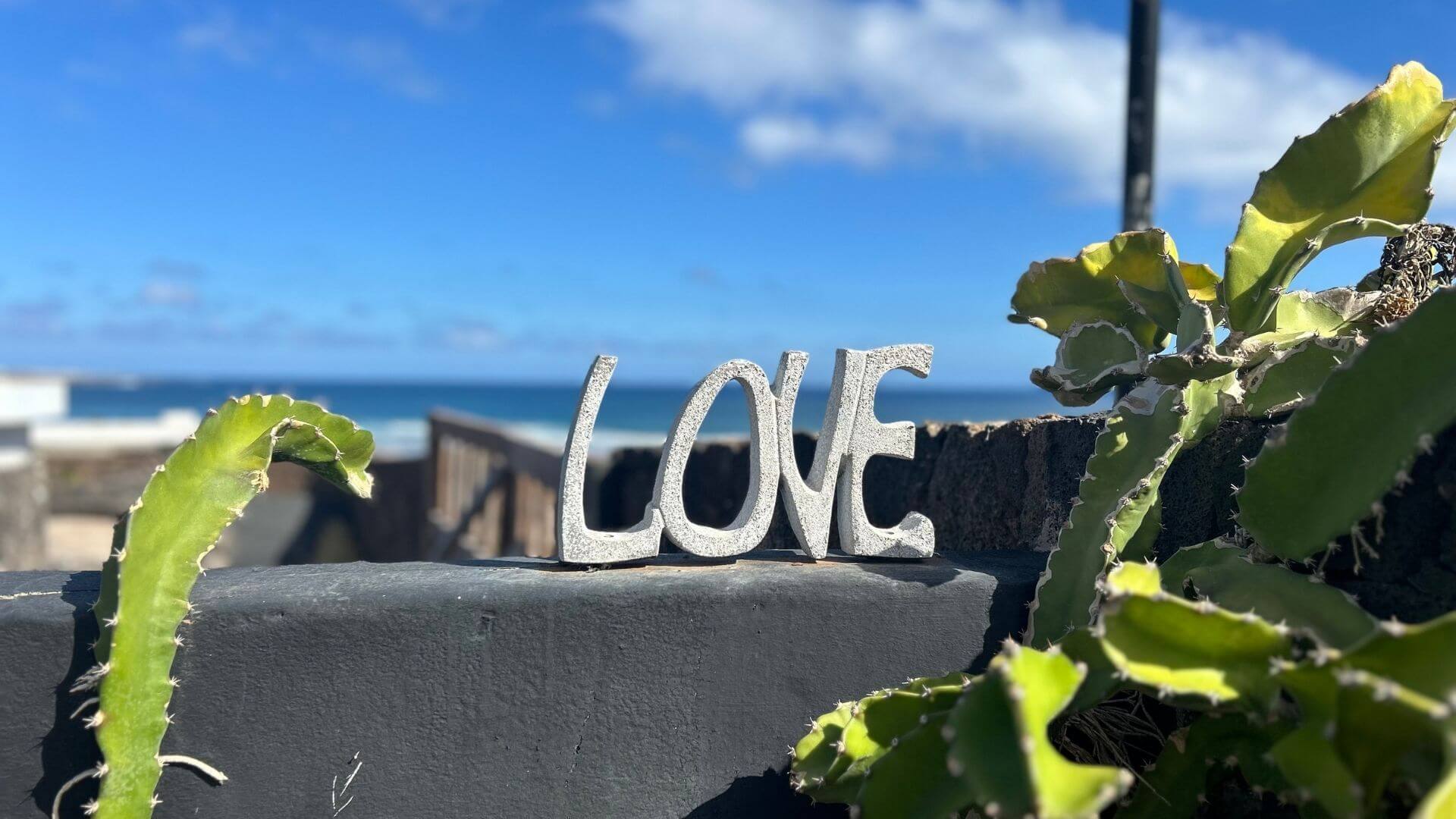 Beton-Schriftzug „LOVE“ vor Kaktus und Meer – ein Symbolbild für Liebe mit Kanten, Tiefe und Haltung.