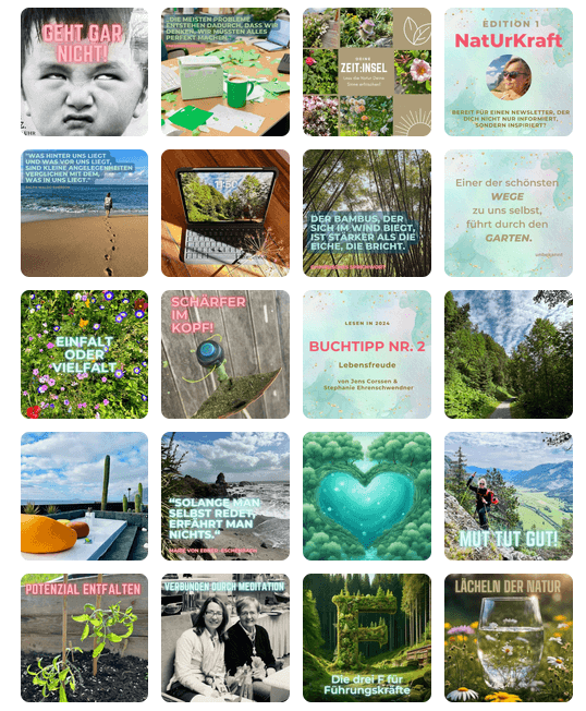 Collage mit 20 gestalteten LinkedIn-Posts – Themen wie Achtsamkeit, Coaching, Natur, Bücher, Reflexion. Farbenfroh, zitatbasiert, bildstark.