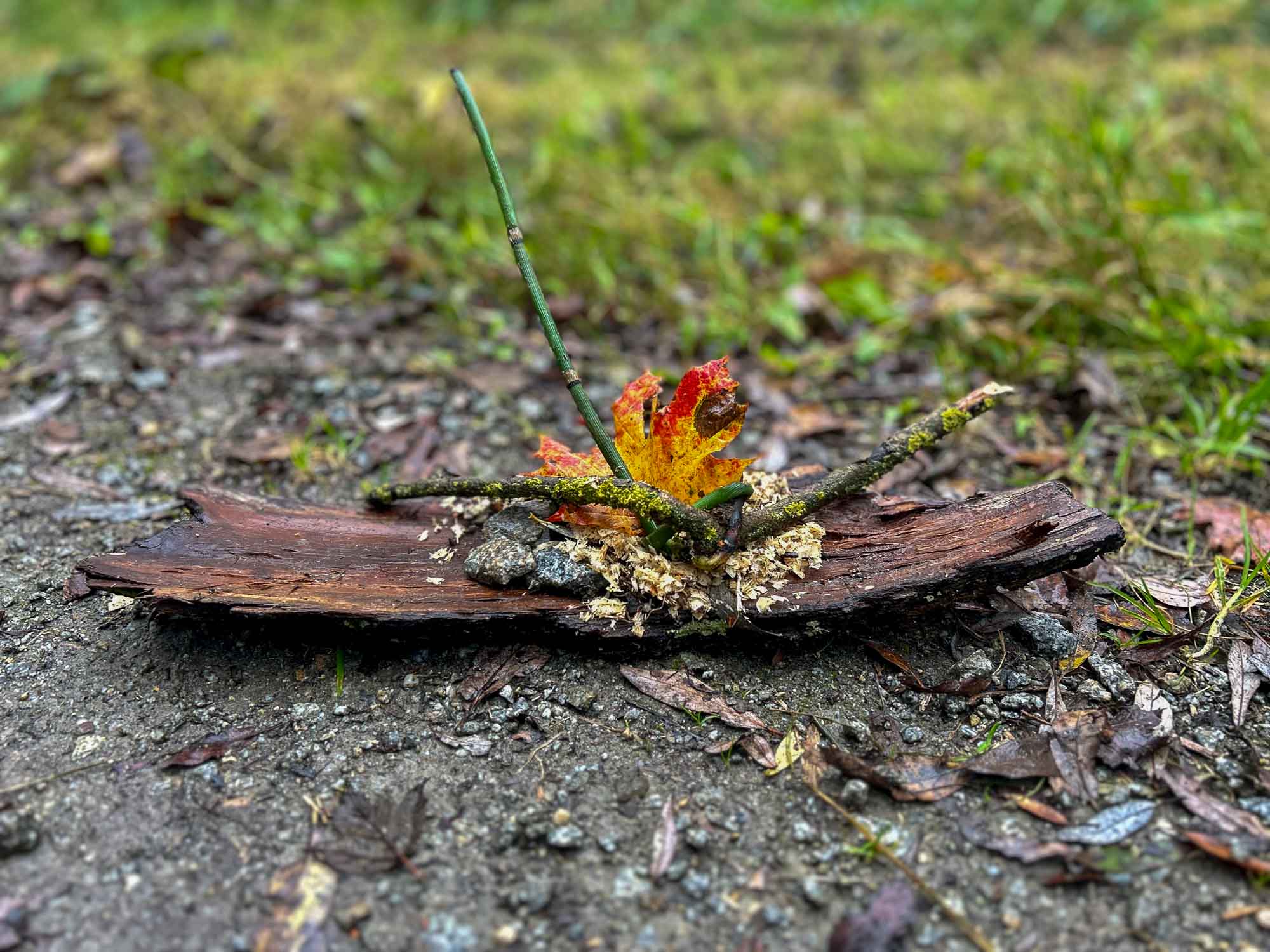 Waldkollage auf Waldboden – Symbol für kreative Naturverbindung auf Rezerette