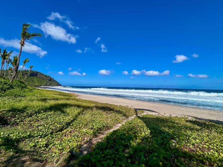 Tropische Küstenlandschaft auf La Réunion mit sattgrünem Bewuchs, weitem Sandstrand und kräftiger Brandung unter strahlend blauem Himmel – ein Ort wie ein Anfangsbuchstabe