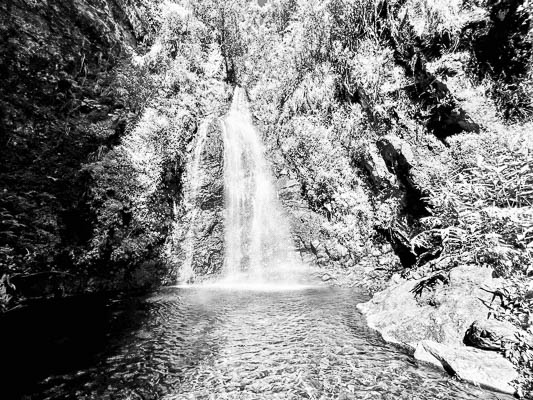 Wasserfall auf La Réunion, der sich in ein natürliches Becken ergießt, umgeben von tropischer Vegetation.