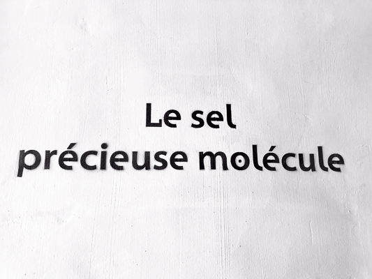 Wandtext im Salzmuseum auf La Réunion: Le sel – précieuse molécule