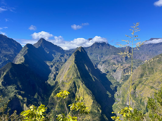 Blick auf die Berglandschaft von La Réunion mit Pitons und Talkessel, im Vordergrund eine blühende Agave, Nebel in der Tiefe.