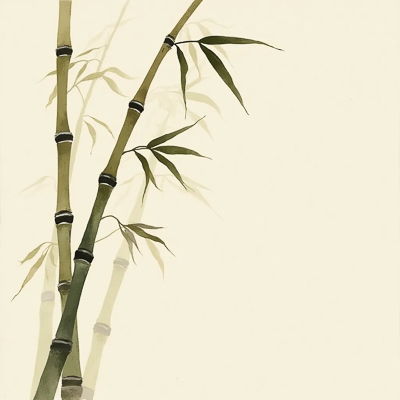ziran-bambus-natur-philosophie-illustration