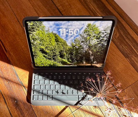 iPad mit Bergwald-Foto auf Holztisch – daneben getrocknete Blüte im Sonnenlicht