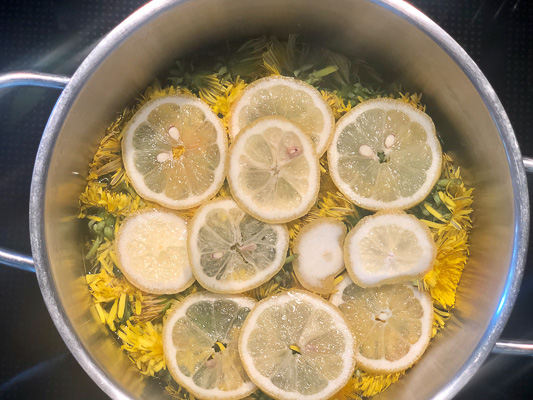 Zitronenscheiben auf Löwenzahnblüten im Topf – bereit zum Aufkochen
