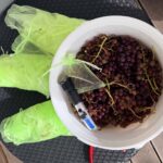 handgelesene-tafeltrauben-sektansatz