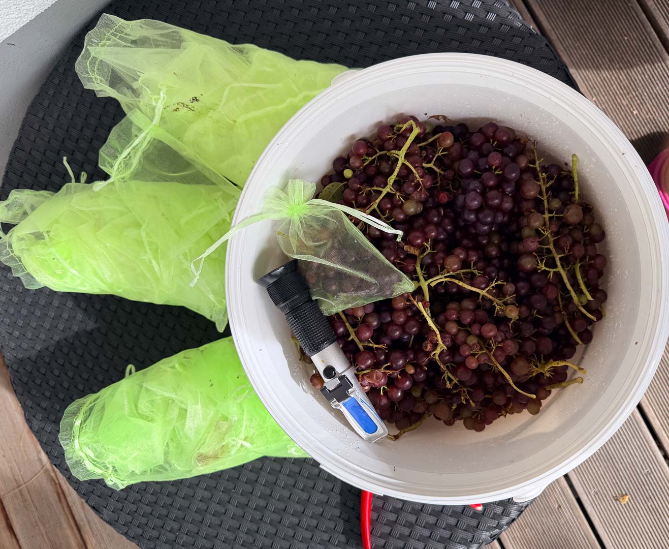 handgelesene-tafeltrauben-sektansatz