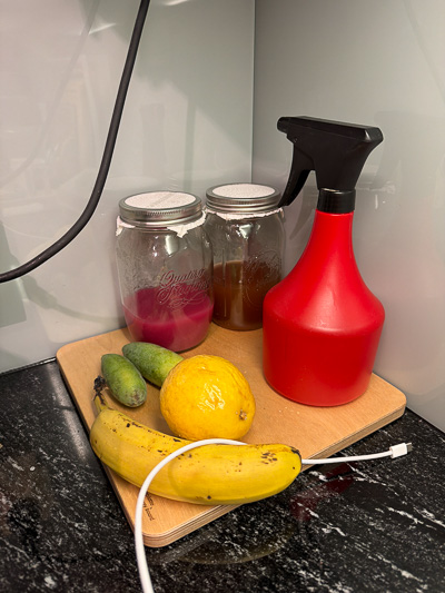 Gläser mit Essigansatz, daneben Obst und Sprühflasche auf einem Küchenbrett