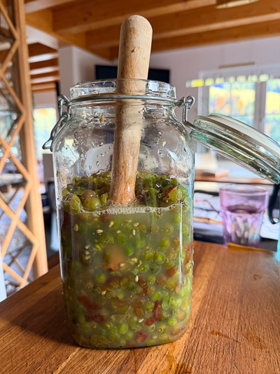 Offenes Glas mit gequetschten Trauben und Stößel vor dem Gären