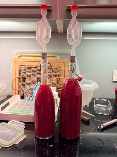 Zwei Bügelflaschen mit Gärrohr bei der zweiten Gärung