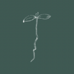 Illustration eines stilisierten Keimlings