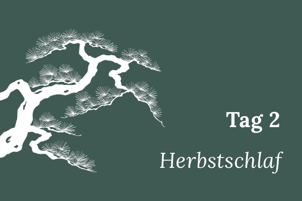 Illustration einer stilisierten Mädchenkiefer, Text „Tag 2 – Herbstschlaf“