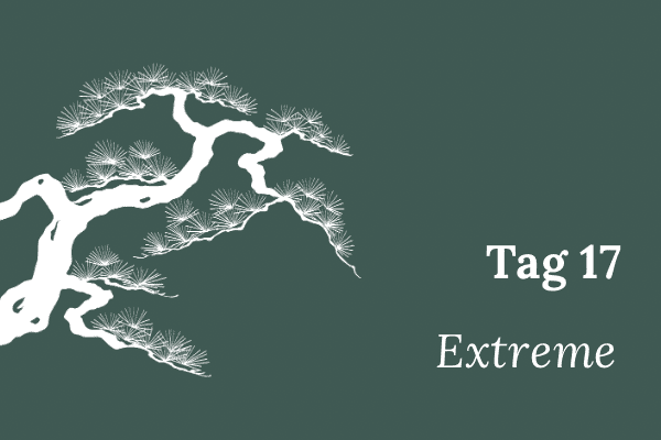 Illustration einer stilisierten Mädchenkiefer, Text „Tag 17 – Extreme