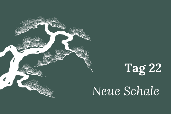 Illustration einer stilisierten Mädchenkiefer, Text „Tag 22 – Neue Schale“