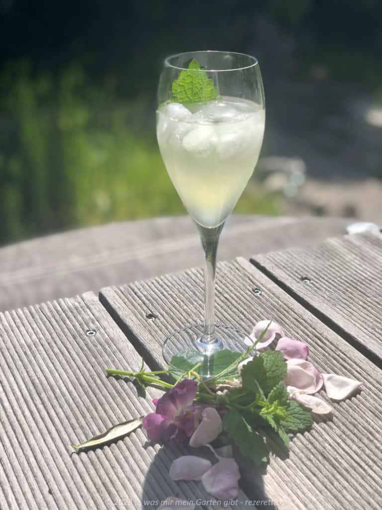 Selbstgemachter Holundersekt im Einmachglas, erste Verkostung.